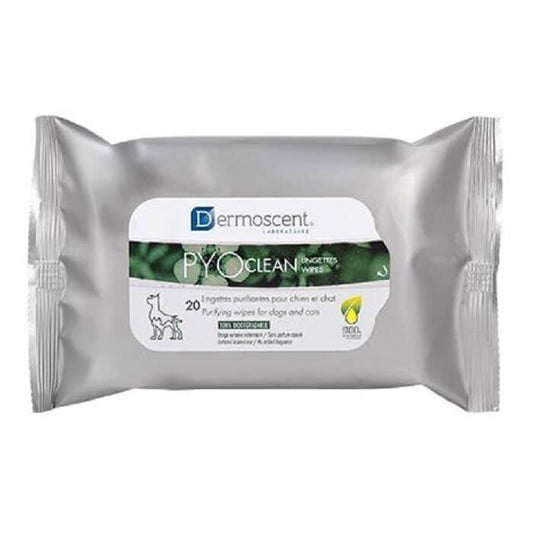Pyoclean 20 salviette
