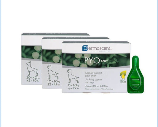 PYO spot cane da 0 a 10kg